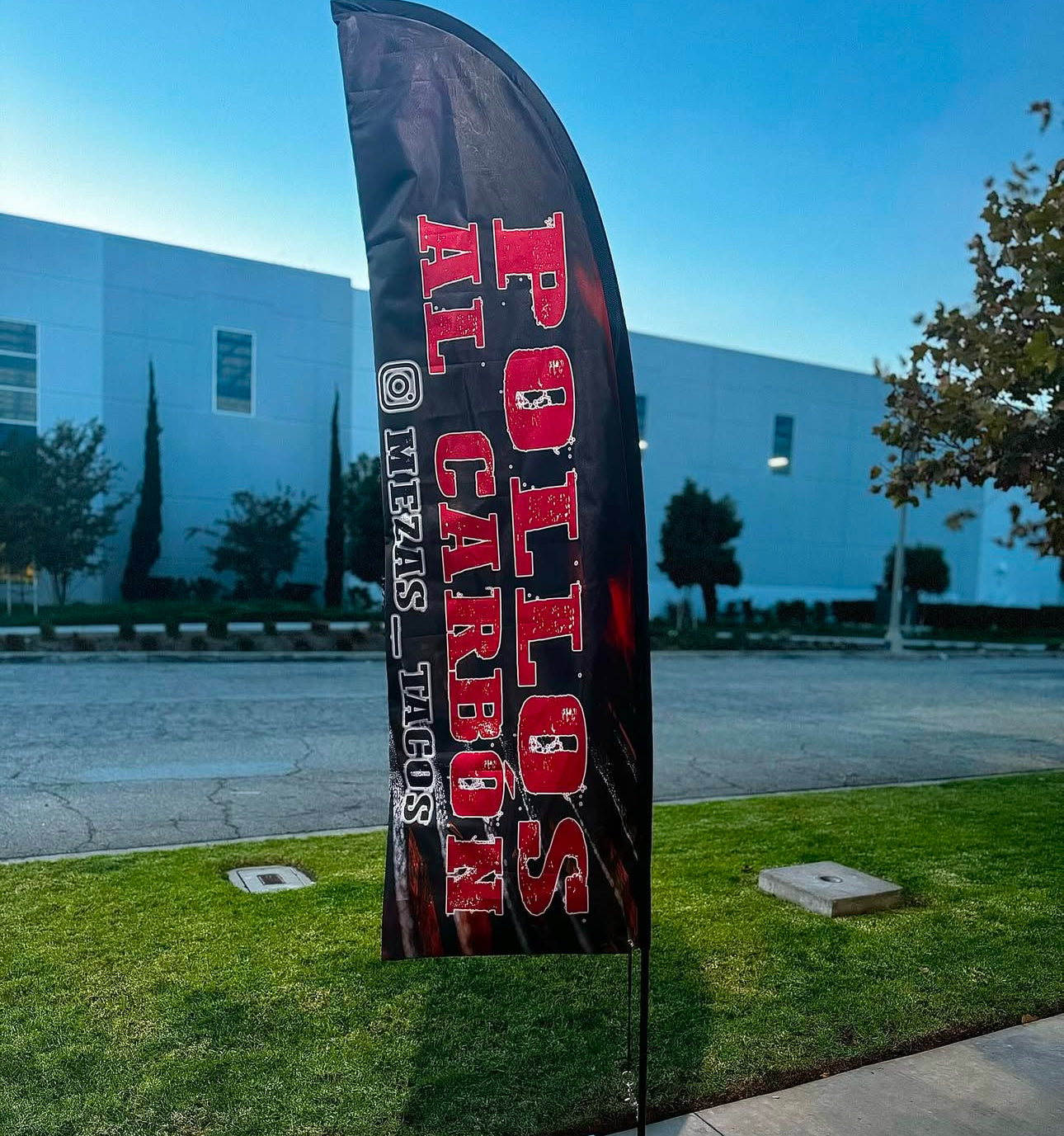 12ft Feather Flags