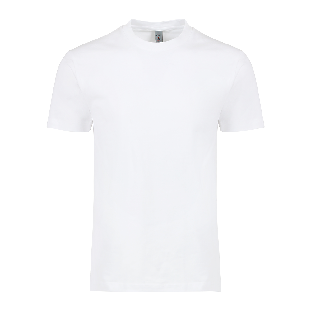 MEN'S HEAVY TEE (6oz.) -DTF