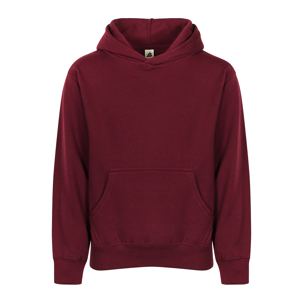 SmartEx 301 Youth Essential Hoodie