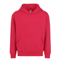 SmartEx 301 Youth Essential Hoodie