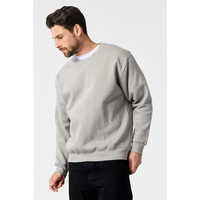 ADULT PREMIUM 12OZ CRW SWTSHRT(12 oz.)-DTF