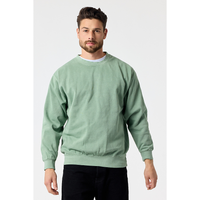 ADULT PREMIUM 12OZ CRW SWTSHRT(12 oz.)-DTF