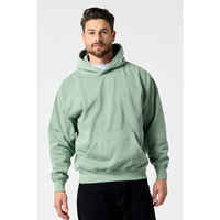 ADULT PREMIUM 12OZ FSHN HOODIE (12oz.)-DTF