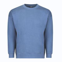 PREM HVYWHT ADULT CRW SWTSHRT (15.5oz)-DTF