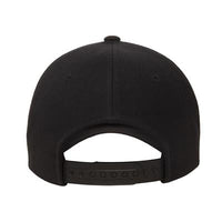 (NO MINIMUM) Printed Hats (Snap Backs  Curved Visor)