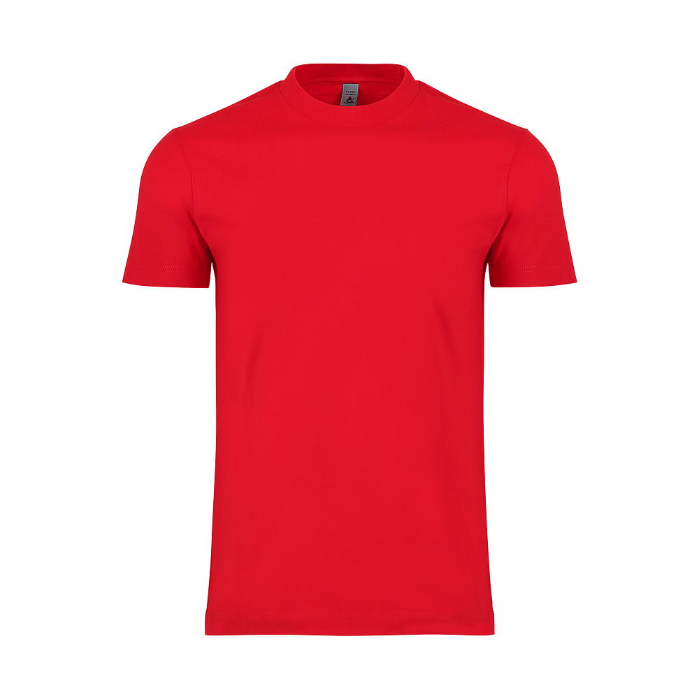 MEN'S HEAVY TEE (6oz.) -DTF