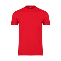MEN'S HEAVY TEE (6oz.) -DTF