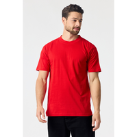 MEN'S HEAVY TEE (6 oz.)-DTF